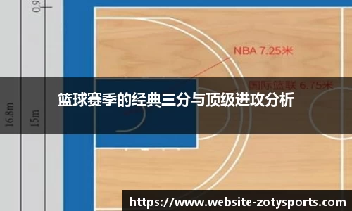 中欧体育