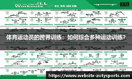 中欧体育官方网站