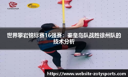中欧体育
