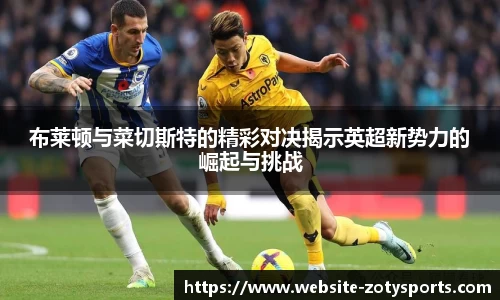 中欧体育